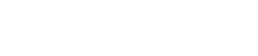 virtus-flow-logo-white-rgb-900px-w-144ppi